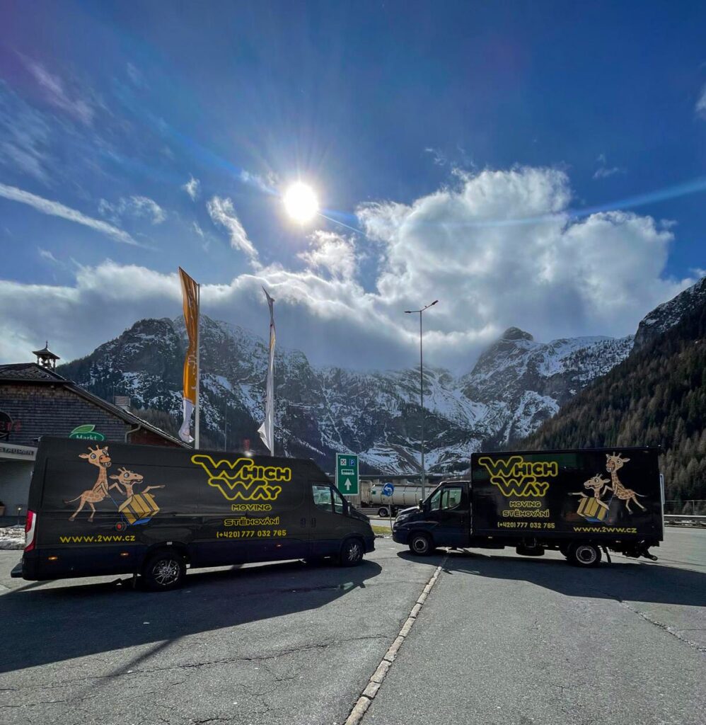 Mezinárodní stěhování